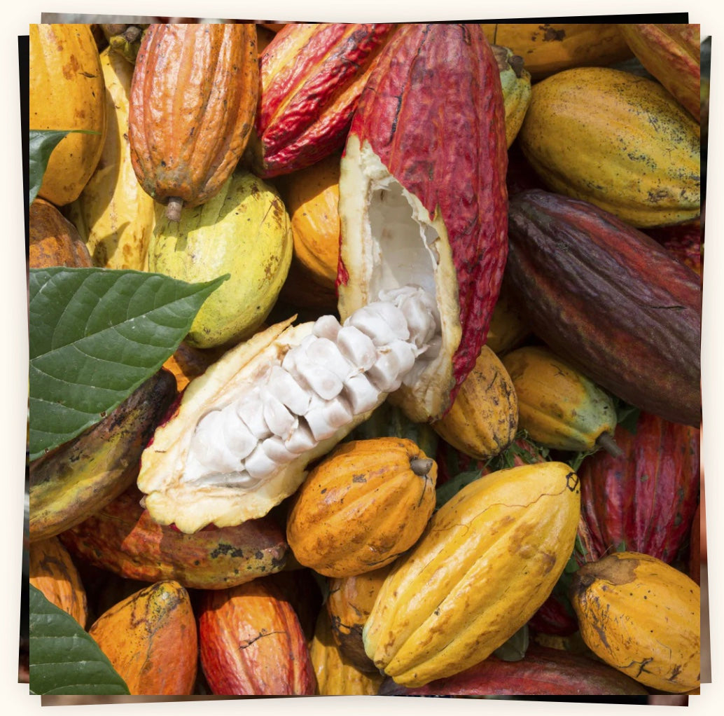 Waarom we kiezen voor Callebaut